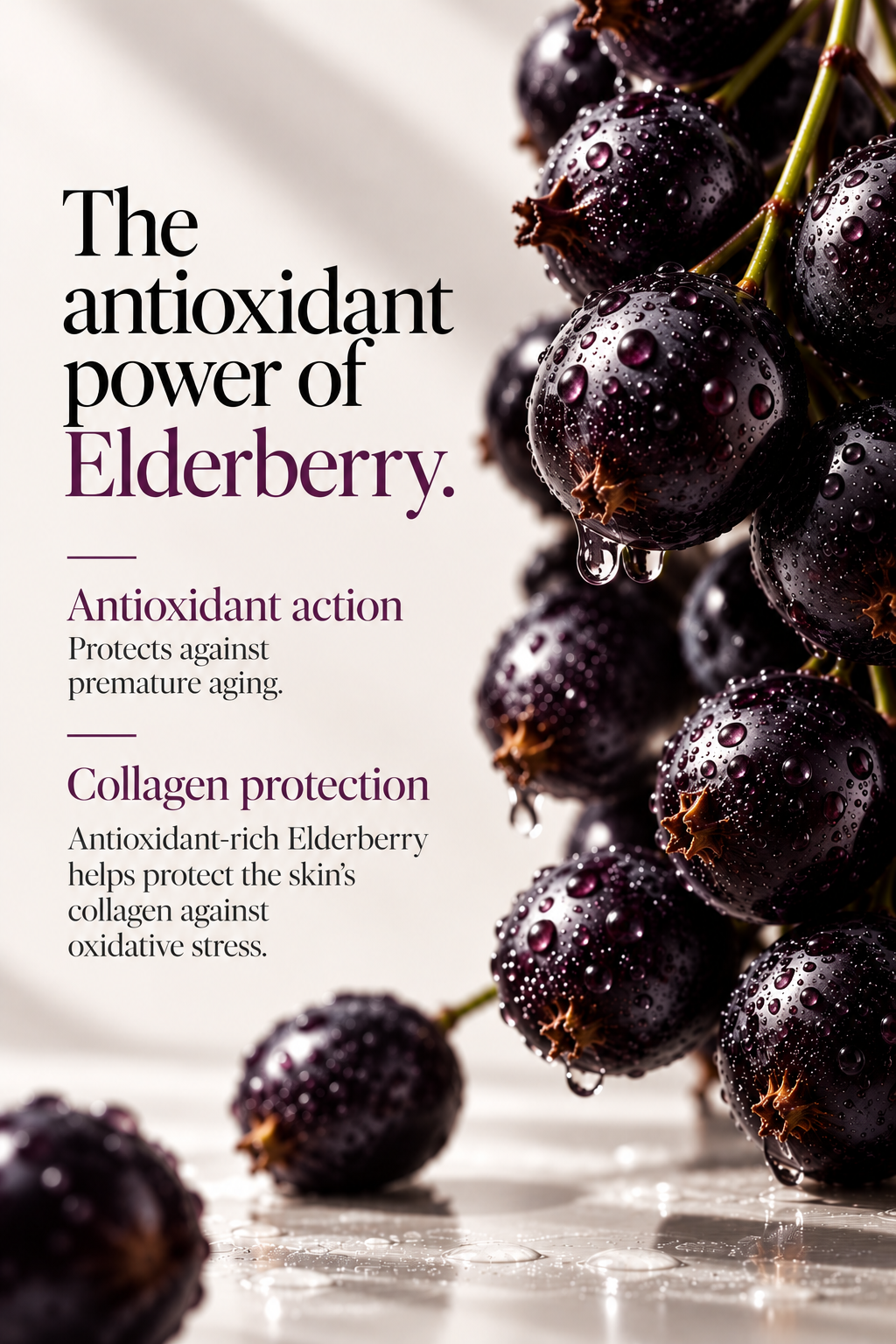 FIRMFUSION - Sérum Collagen Boost
